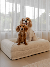 Load image into Gallery viewer, Orthopaedic Bouclé Bed