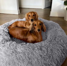 Load image into Gallery viewer, Therapeutic Pet Bed