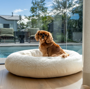 Luxury Round Bouclé Bed