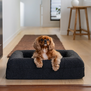 Orthopaedic Bouclé Bed