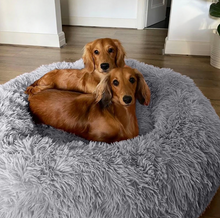 Load image into Gallery viewer, Therapeutic Pet Bed
